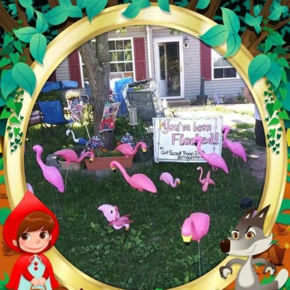 Meet your Posher, Shirley hummel - Picture 1 of 1